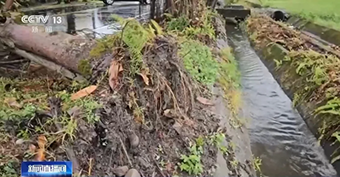 台风“格美”预计今夜登陆台湾,巨浪淹路树木倒伏